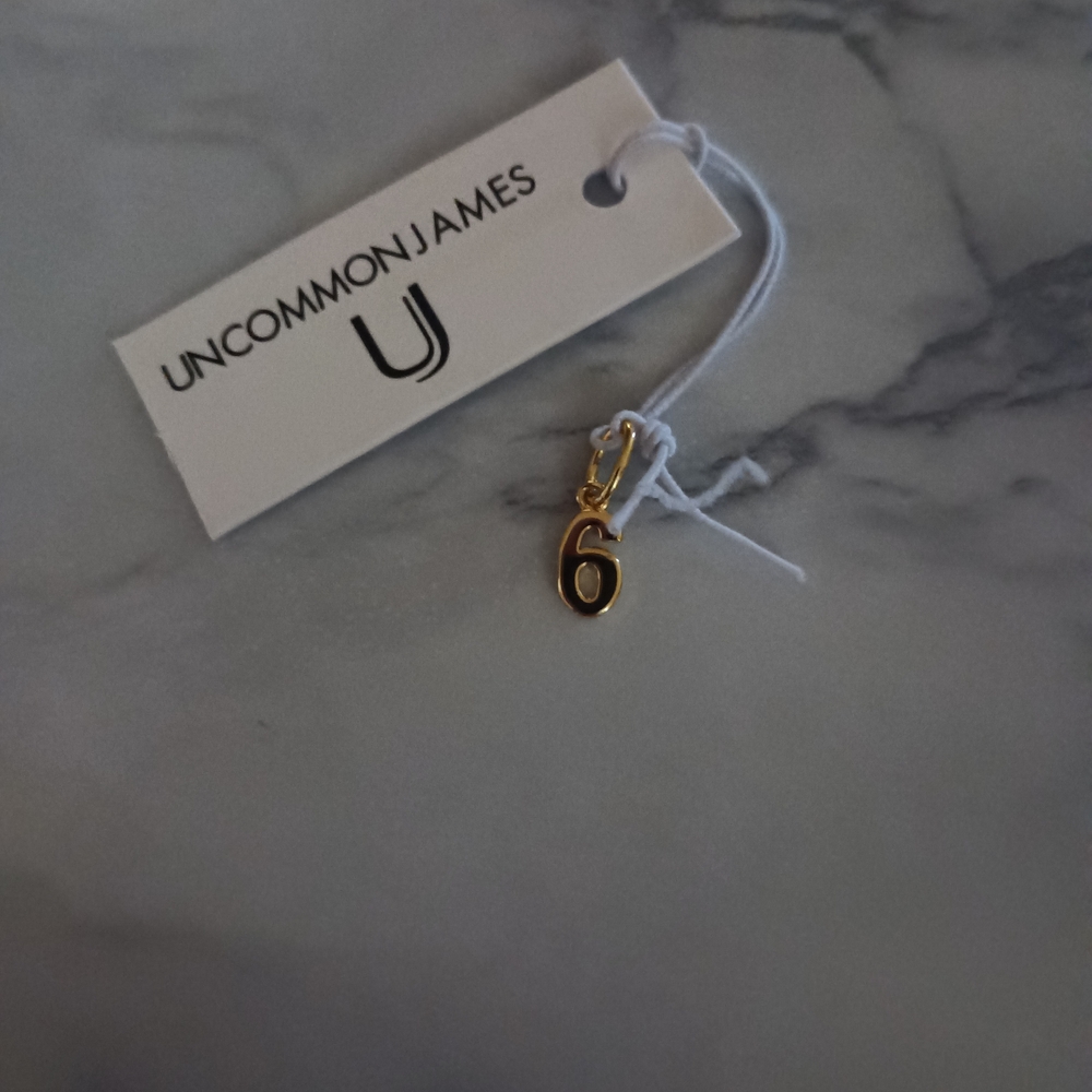Uncommon James Gold Charm Number 6